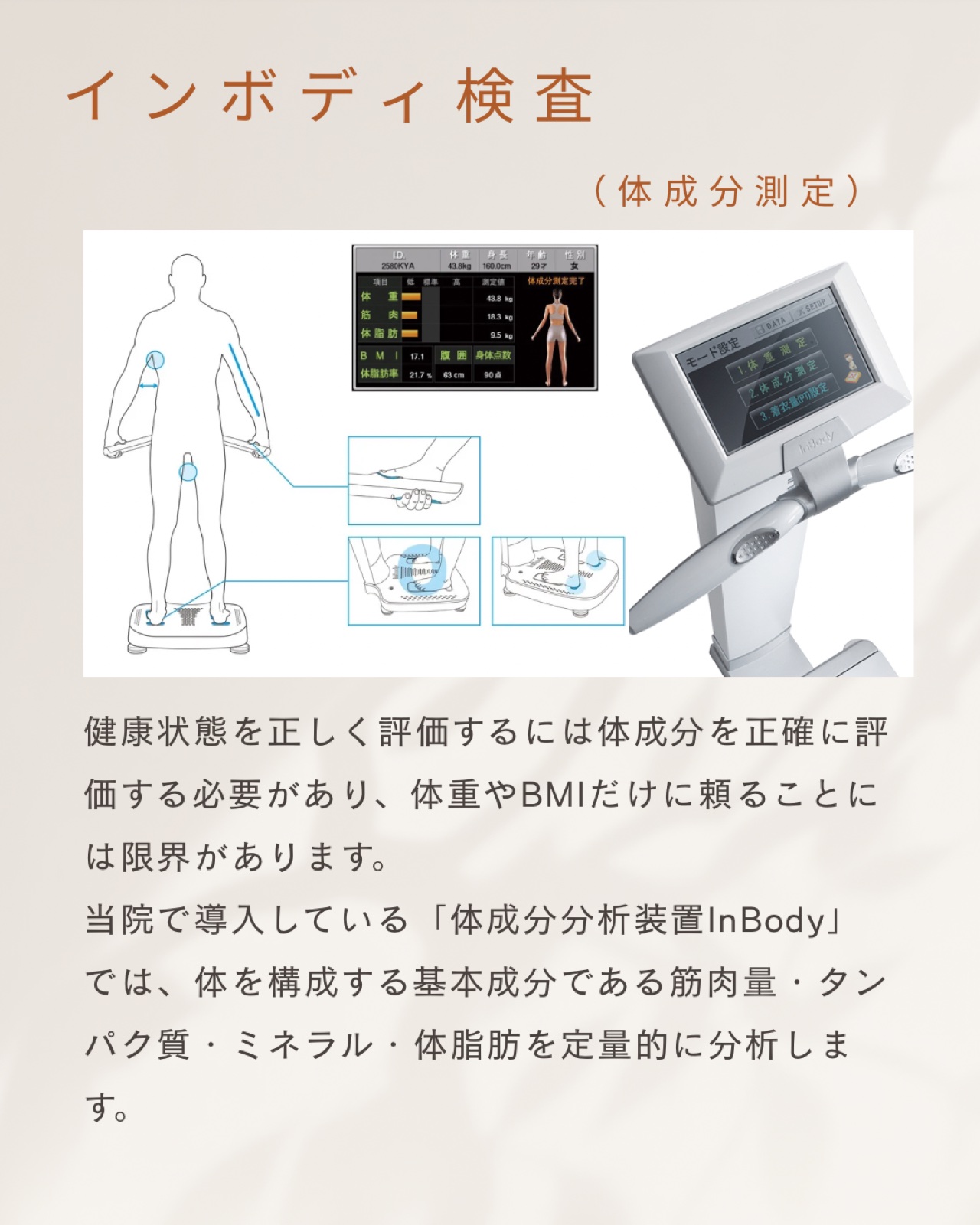 インボディ検査（体組成計）